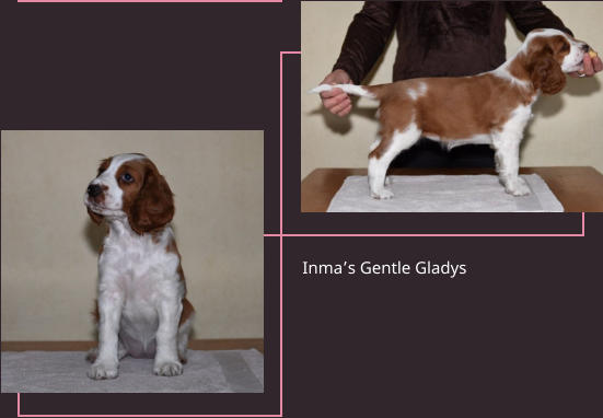 Inma’s Gentle Gladys