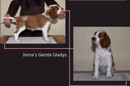 Inma’s Gentle Gladys